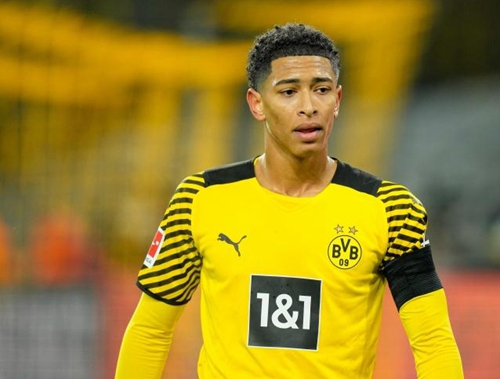 和多点开花 和多点开花